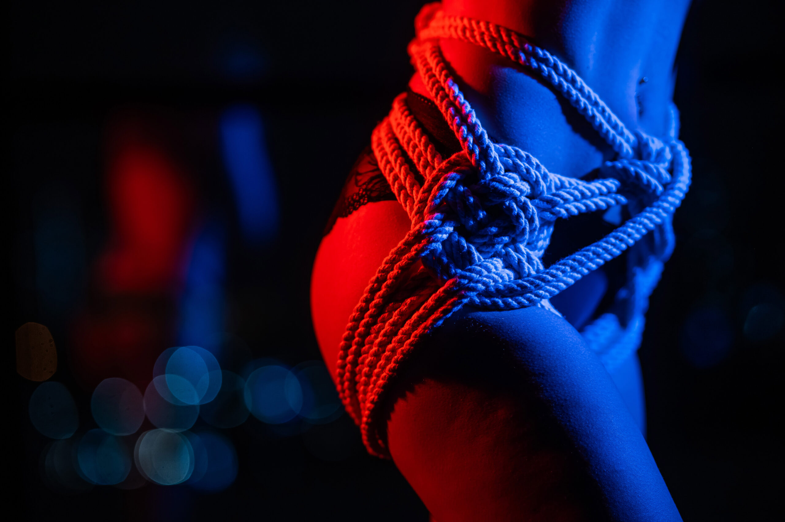 L’arte dello Shibari